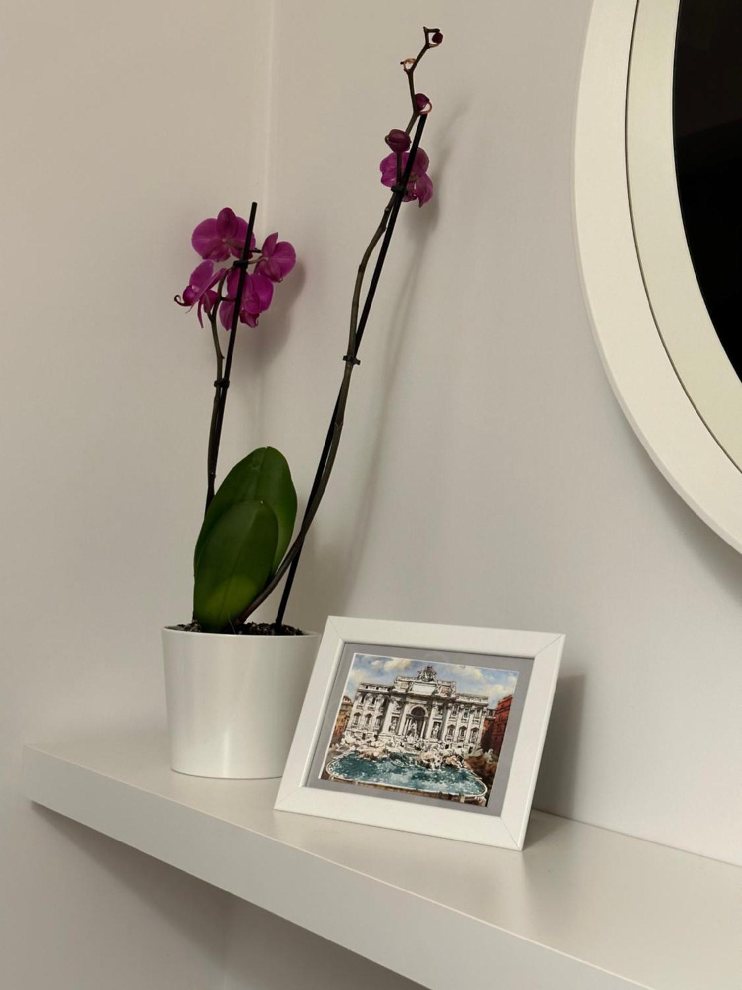 Trithome Suite Boutique Barberini Roma Ngoại thất bức ảnh